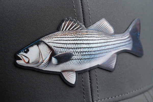 UV Patch Otto Trucker Cap: Striped Bass