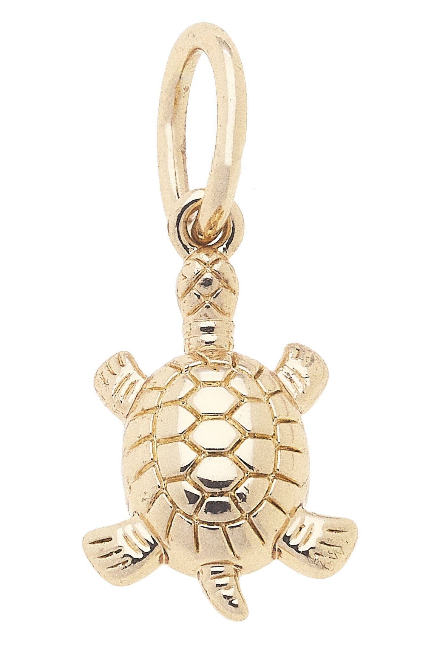 Sea Turtle Charm in Shiny Gold