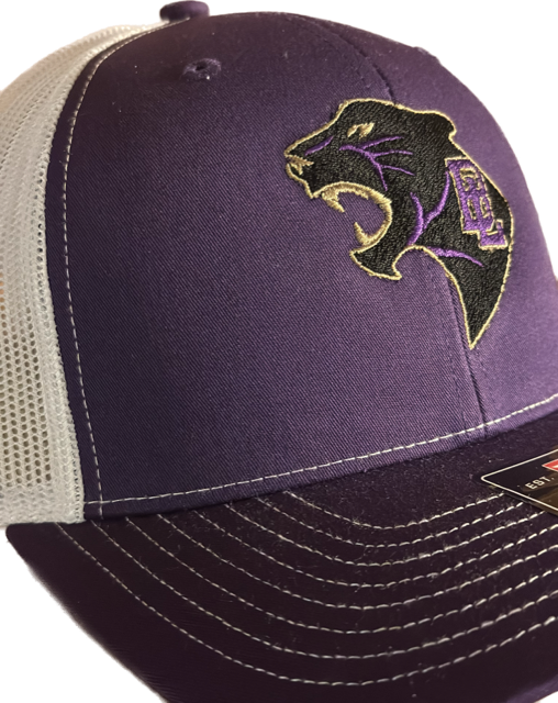 Richardson 112 Rinn River/Batesburg-Leesville: Panther Purple/White*