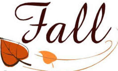 Fall Collection