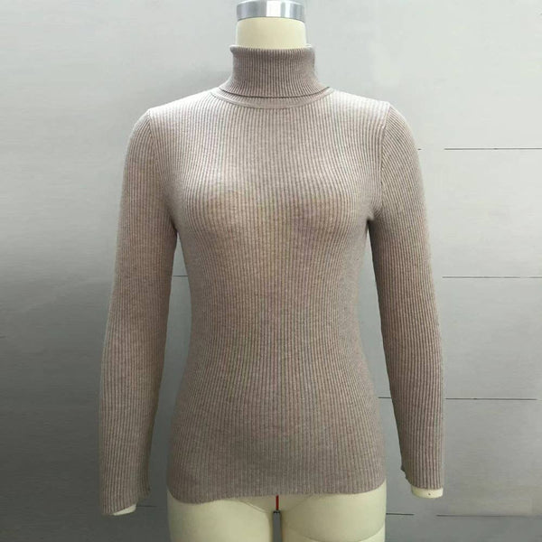Basic Layer Turtleneck Knit Apricot