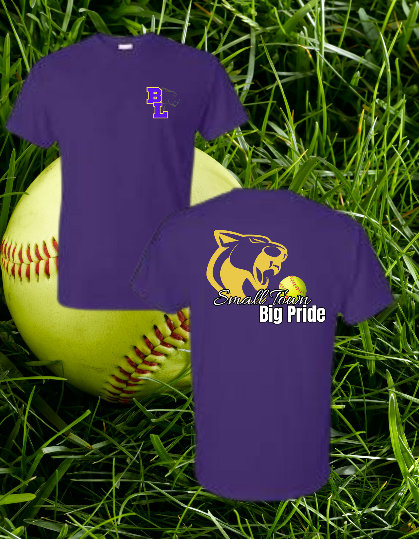 Panthers Small Town Softball Full Back Short Sleeve*