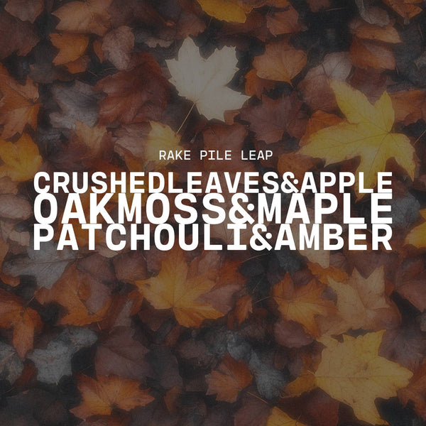 Car Freshener: Rake, Pile, Leap! | Limited Edition