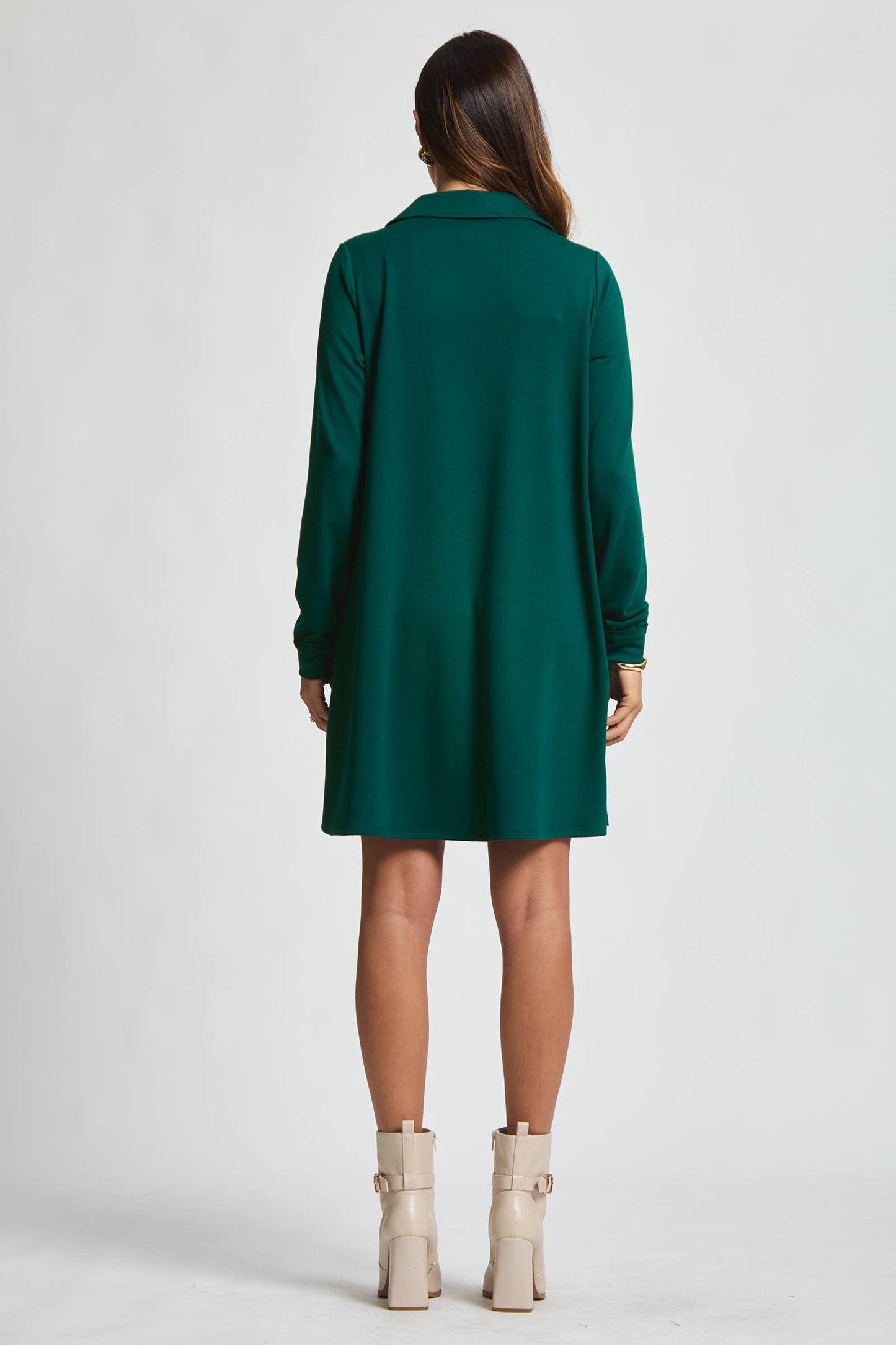 Evergreen Long Sleeve A Line Dress