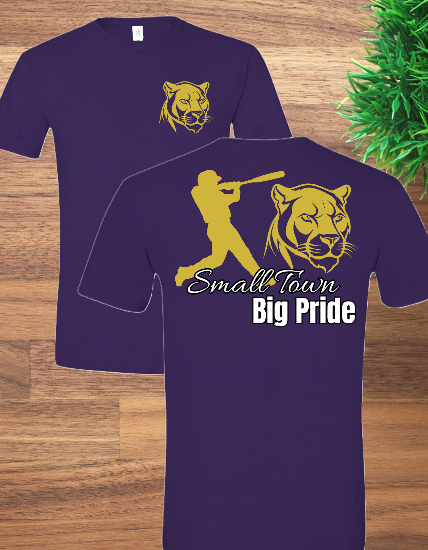 Panthers Small Town Baseball- Full Back Short Sleeve*