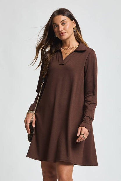 Chocolate Long Sleeve A Line Dress
