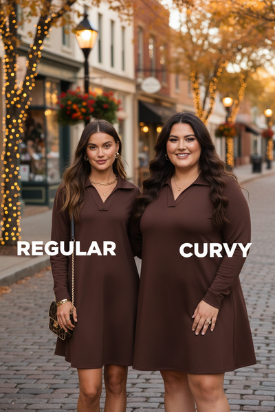 Chocolate Long Sleeve A Line Dress