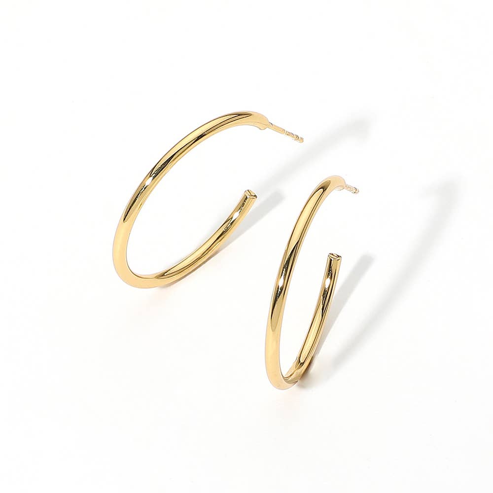 Gold Stainless Steel Hoop Earring