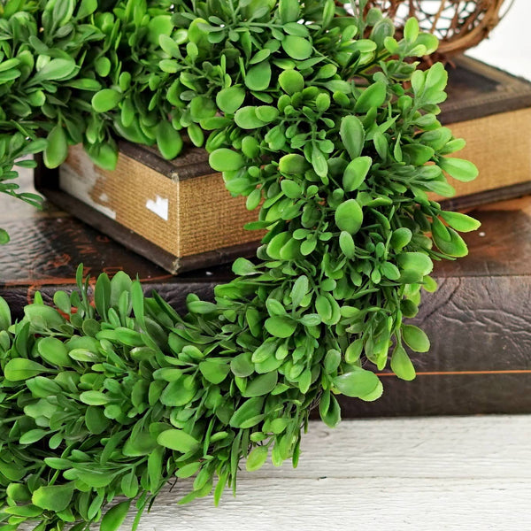 Wreath-Evergreen Boxwood 12"