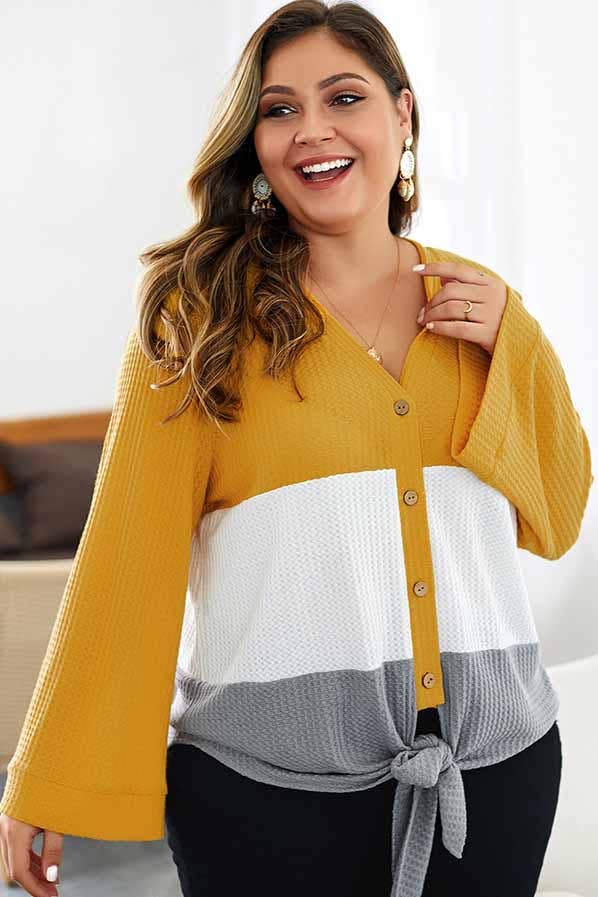 Curvy Color Block Long Sleeve