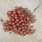 Coral Beads*